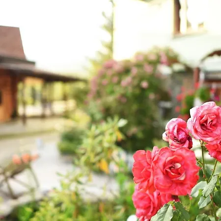 Guest house Pogar Slavske