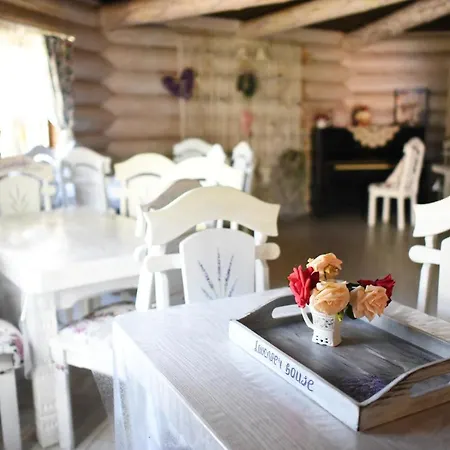 Guest house Pogar Slavske