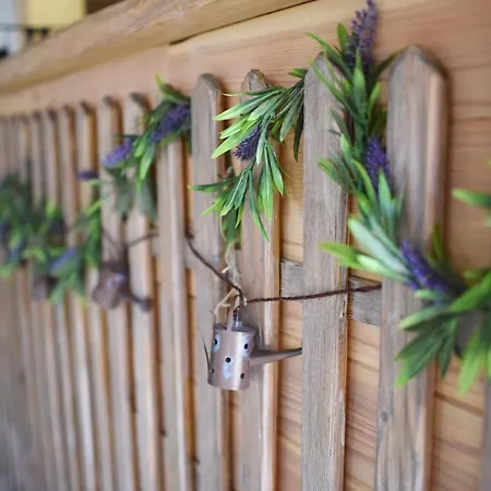 Guest house Pogar Slavske