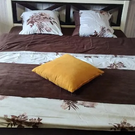 Pogar Guest house Slavske